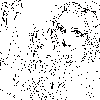 IMG_000093.png ( 22 KB ) by BBSPainter